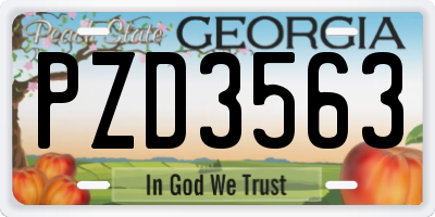 GA license plate PZD3563