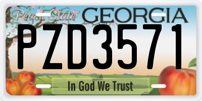 GA license plate PZD3571