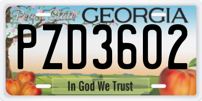 GA license plate PZD3602