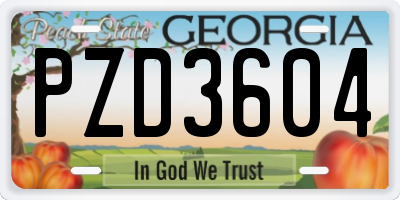 GA license plate PZD3604