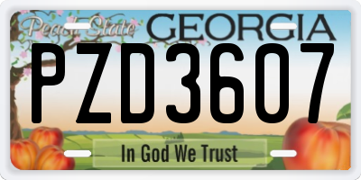 GA license plate PZD3607