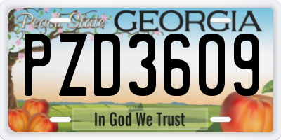 GA license plate PZD3609