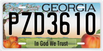 GA license plate PZD3610