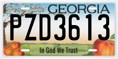 GA license plate PZD3613