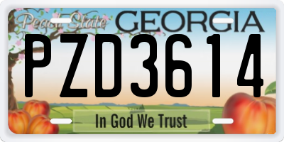 GA license plate PZD3614