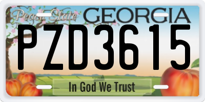 GA license plate PZD3615