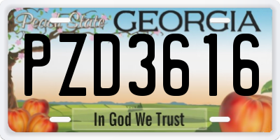 GA license plate PZD3616