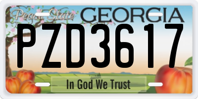 GA license plate PZD3617