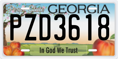 GA license plate PZD3618