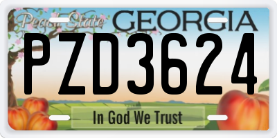 GA license plate PZD3624