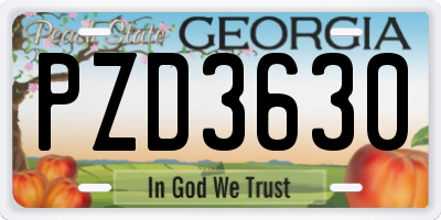 GA license plate PZD3630