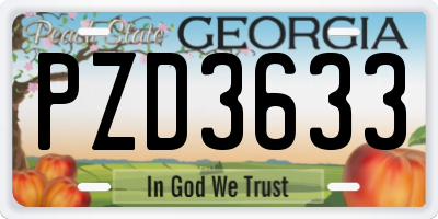 GA license plate PZD3633