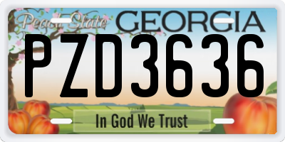 GA license plate PZD3636