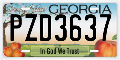 GA license plate PZD3637