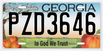 GA license plate PZD3646