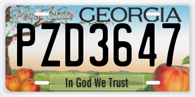 GA license plate PZD3647