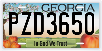 GA license plate PZD3650