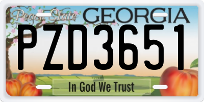 GA license plate PZD3651