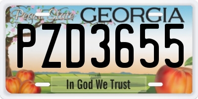 GA license plate PZD3655