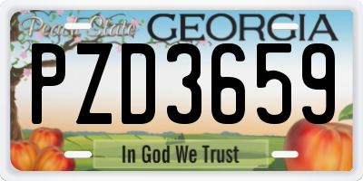 GA license plate PZD3659