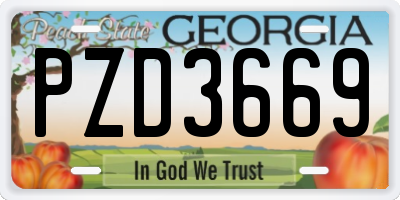 GA license plate PZD3669