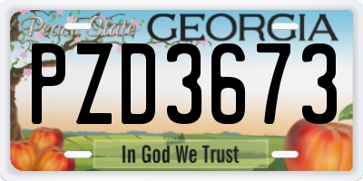 GA license plate PZD3673