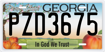 GA license plate PZD3675