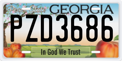 GA license plate PZD3686
