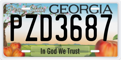 GA license plate PZD3687