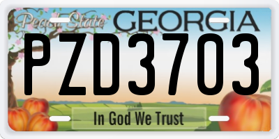 GA license plate PZD3703