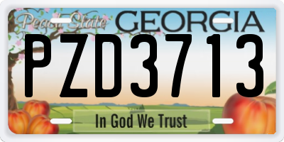 GA license plate PZD3713