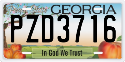 GA license plate PZD3716