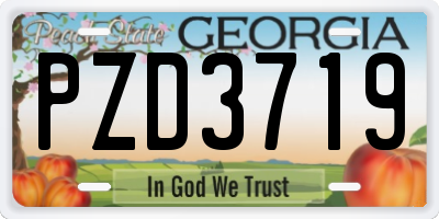 GA license plate PZD3719