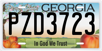 GA license plate PZD3723
