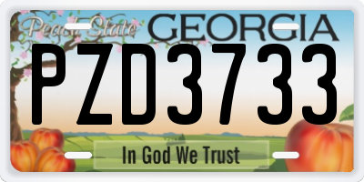 GA license plate PZD3733