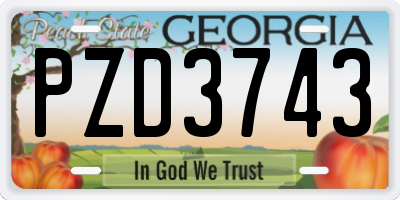 GA license plate PZD3743