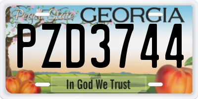 GA license plate PZD3744