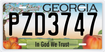 GA license plate PZD3747