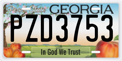 GA license plate PZD3753