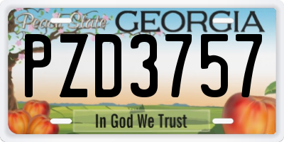 GA license plate PZD3757