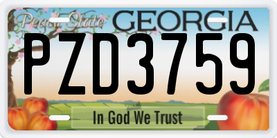 GA license plate PZD3759