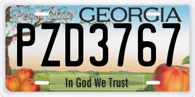 GA license plate PZD3767