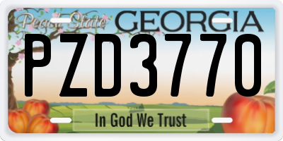 GA license plate PZD3770