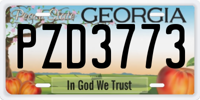 GA license plate PZD3773
