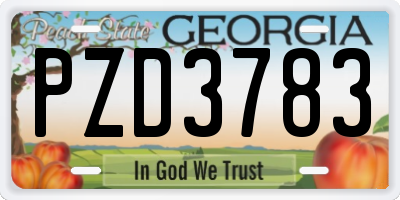GA license plate PZD3783