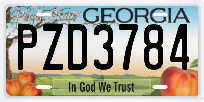 GA license plate PZD3784
