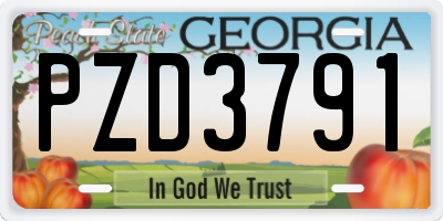 GA license plate PZD3791