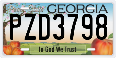 GA license plate PZD3798