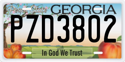 GA license plate PZD3802