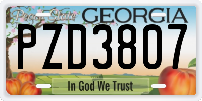 GA license plate PZD3807